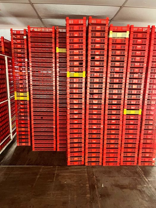 Пластмасови касетки с и без колички