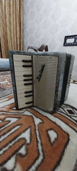 Детский  Аккордеон Малыш
