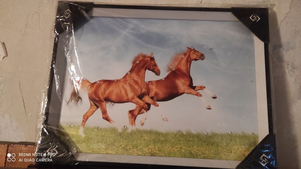 Картины  разные.