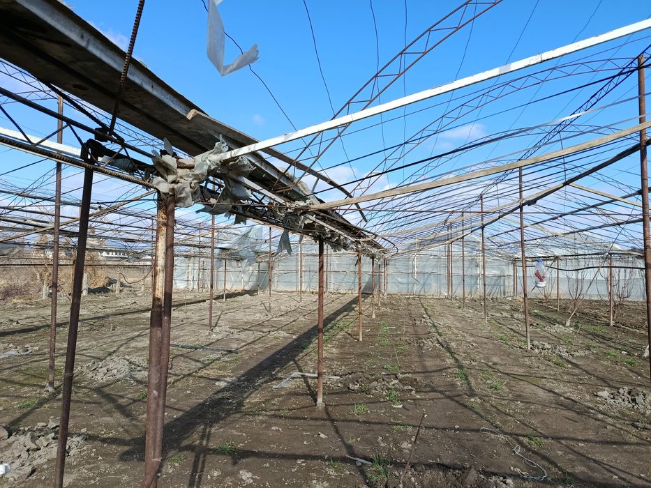 Parnik (ISSIQXONA) SOTILADI... (22,5×28)m