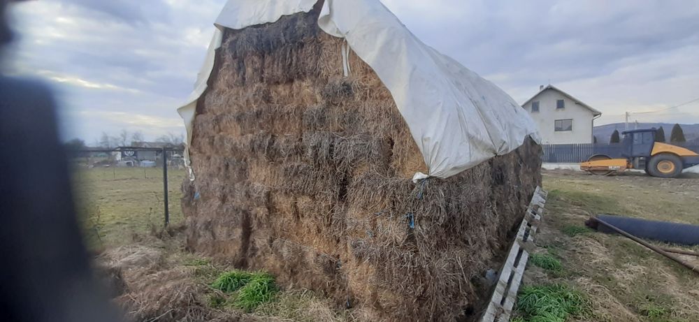 Baloti lucerna dreptunghiulari