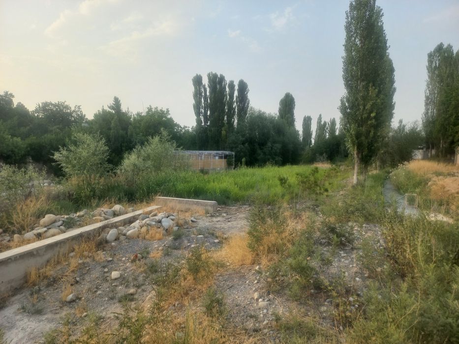 Soy boyida dam olish maskani uchun joy sotiladi