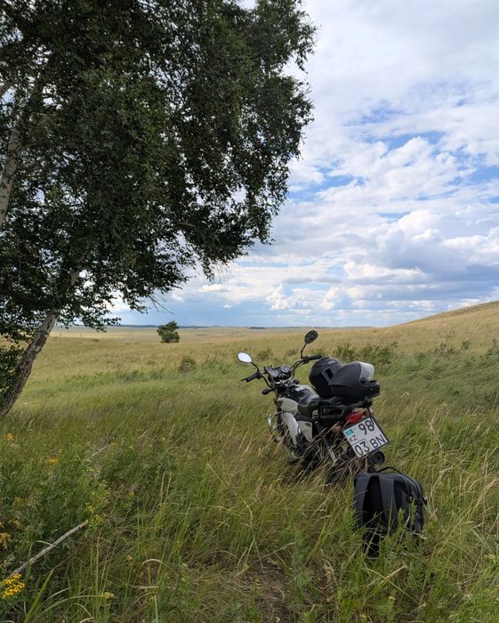 Продам Racer Alpha 110