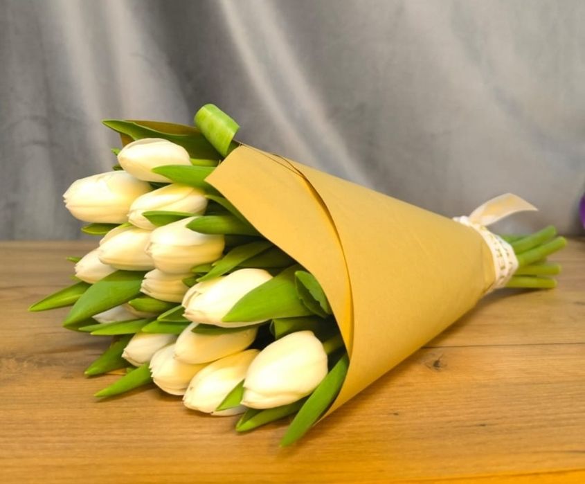 Тюльпаны ОПТОМ Семей