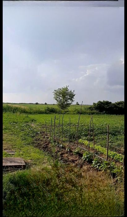 Teren intravilan in sat Obad