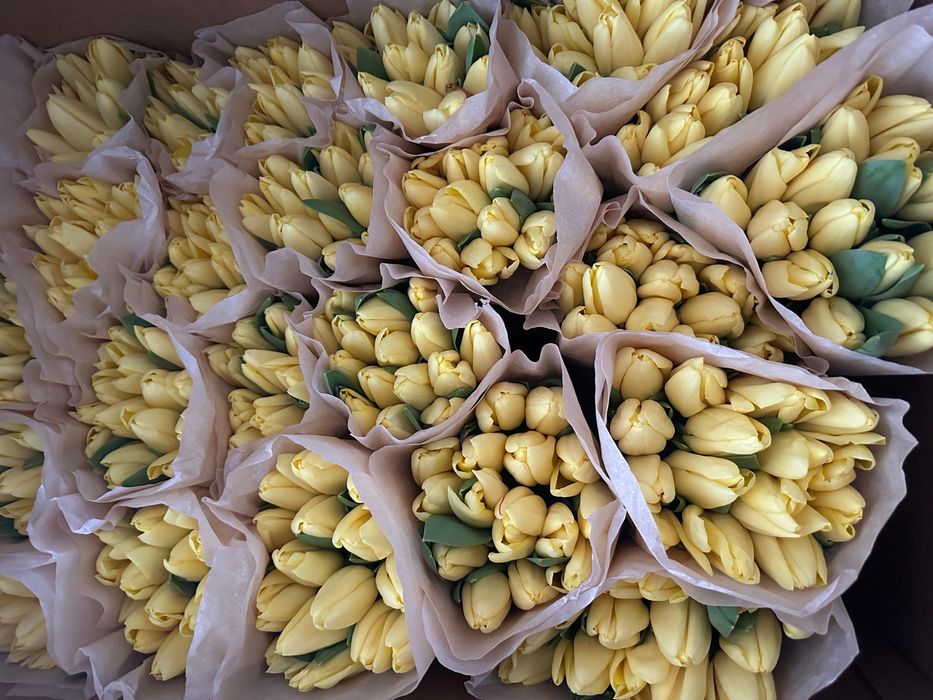 Тюльпаны предзаказ к 8 марта