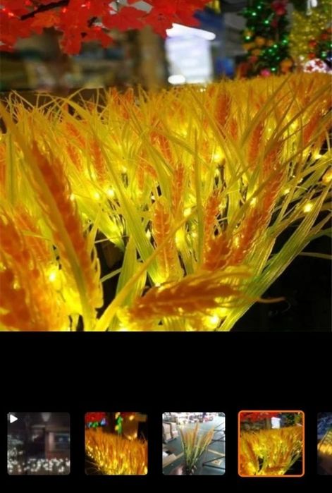 Неон.Новинка в освещении