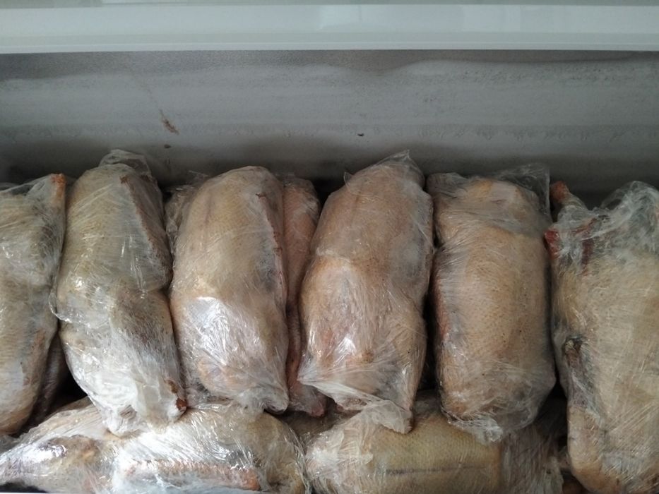 Тушки гуся оптом . Гуси