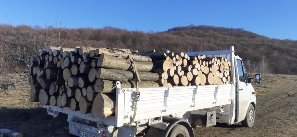 Lemne de foc la 350 lei metru esență tare cu transport gratuit