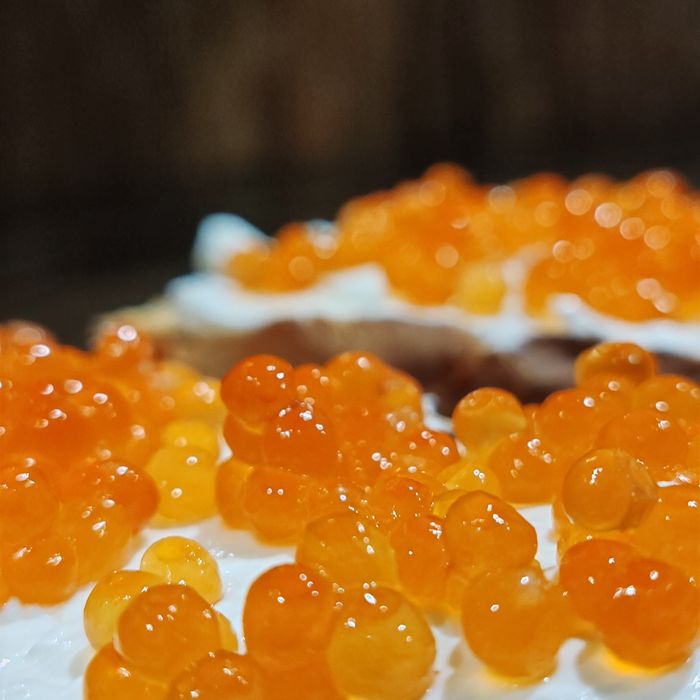 Икра премиум кеты.горбуши.форели.