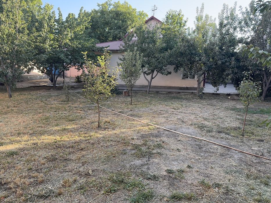 Ховли Самарканд Узбекистанская