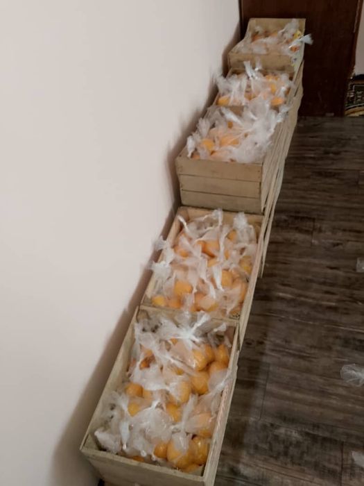 LIMON xosiliI sotiladi