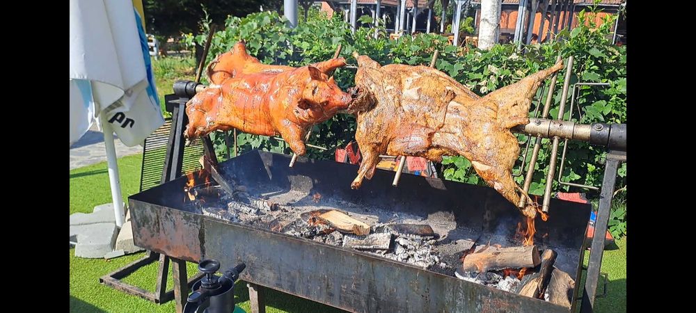 Rotisor, Protap si Diverse Delicii pentru Ocazii Speciale