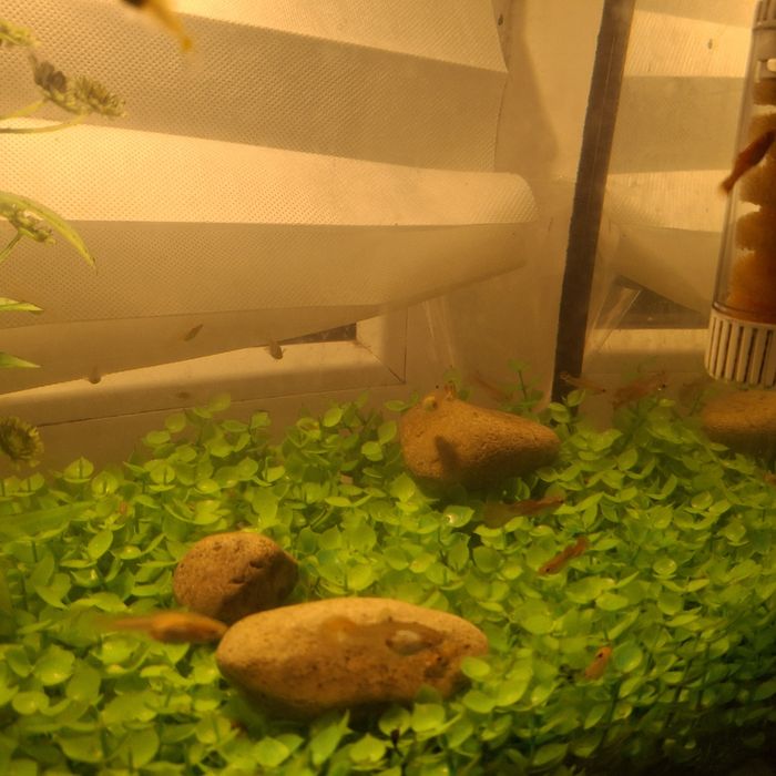 ГУПИИ  300 тг шт