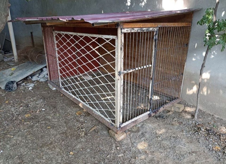 Ин сотилади.бакуват килиб ясалган.