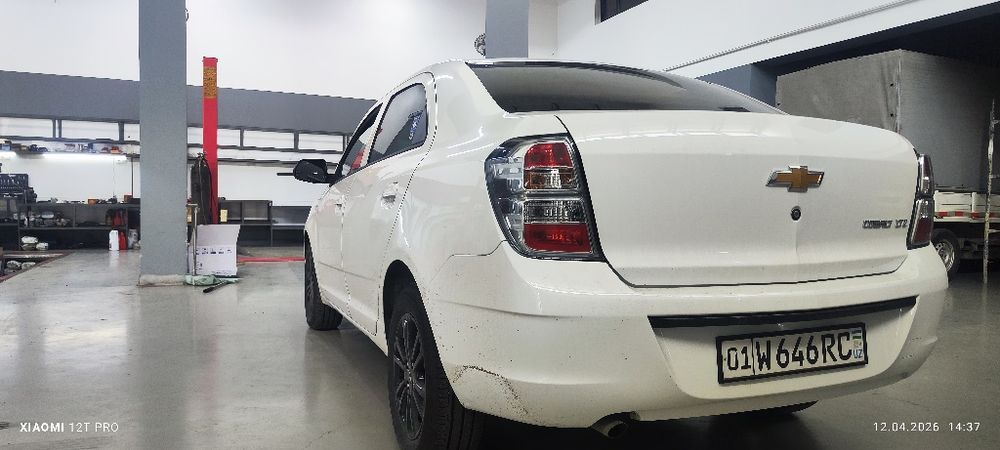 Cobalt midnight MSM ARENDAga