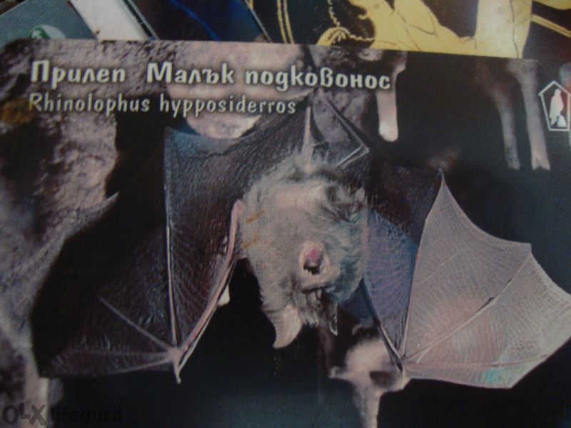 Колекция фонокарти-гърция,кипър ,българия