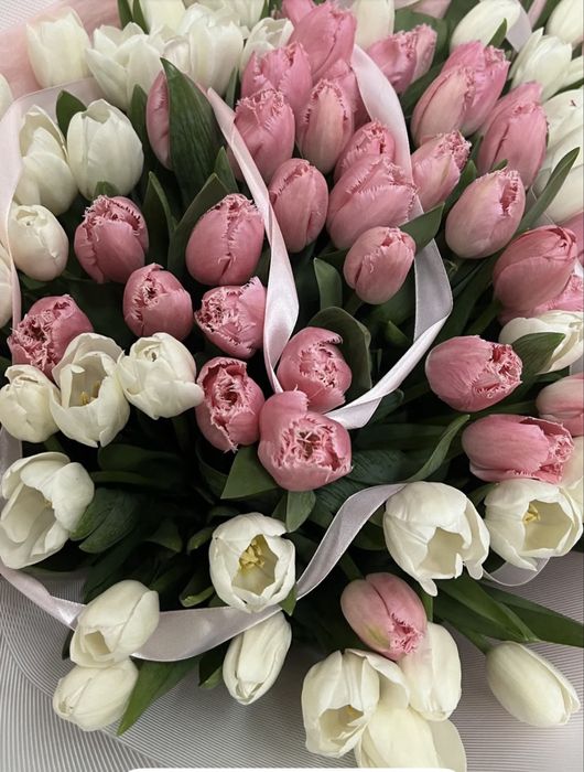 Тюльпаны оптом Астана