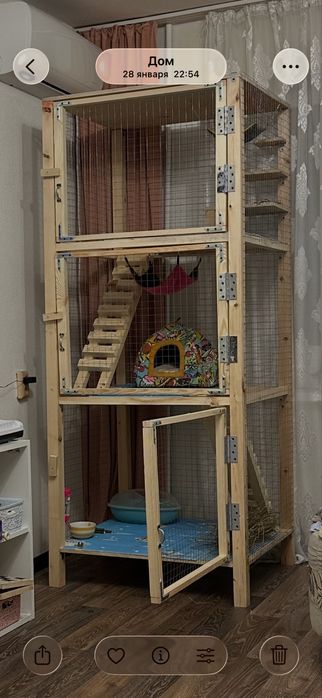 Рисунок вашего питомца