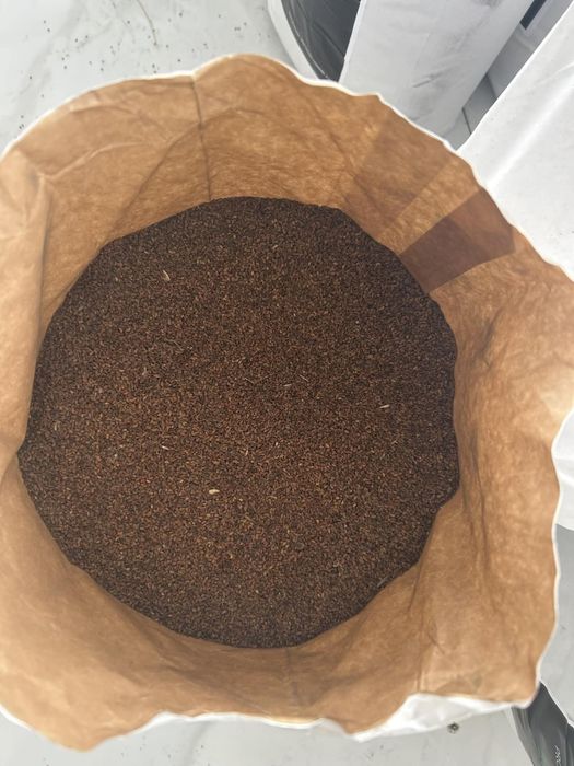 Samânță de lucerna