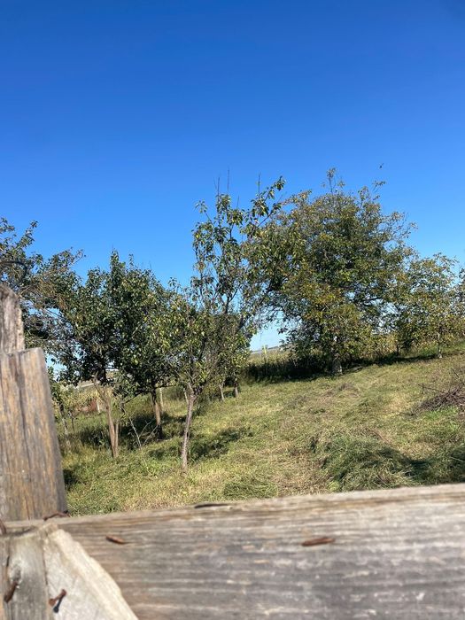 Casa de vânzare Decea jud Alba