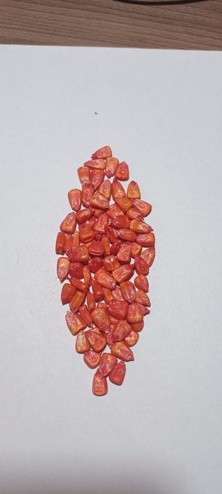 Семена кукурузы Китай