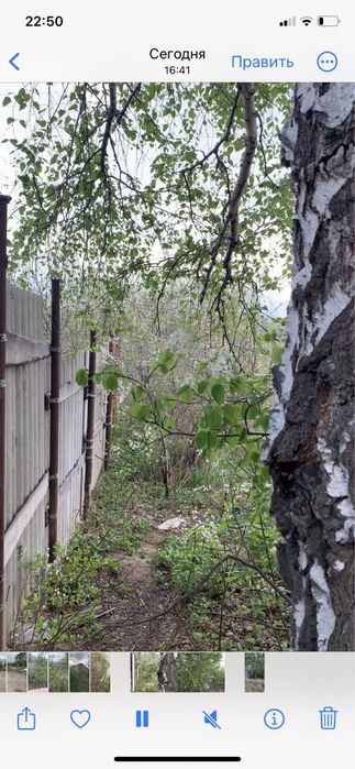 Дачный участок в городе. Наурыз