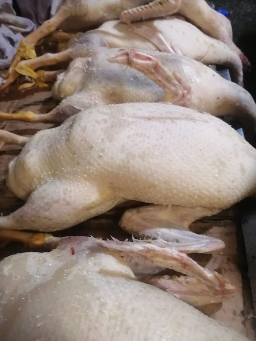 Продам Уток домашние