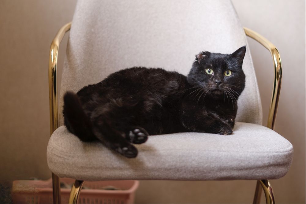 Мартин в поисках дома, Ташкент!