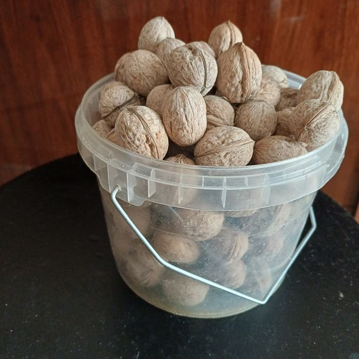 Продаю грецкие орехи