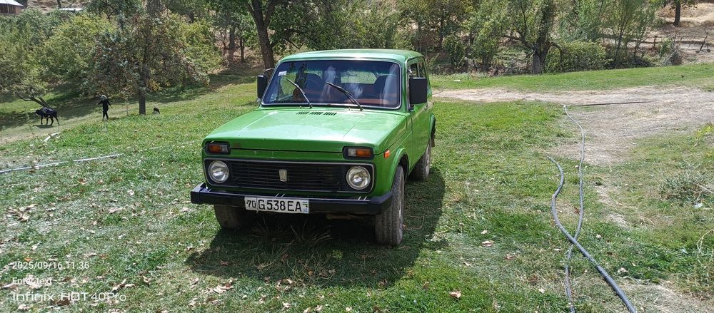 Radnoy NIVA 4 balon yangi chirigi yoʻq suvarka tegmaga li salon qiling