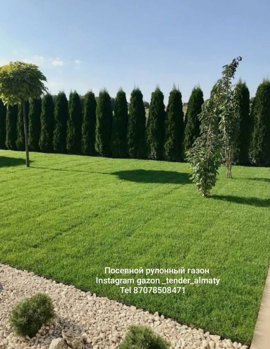 Посевной газон подключ