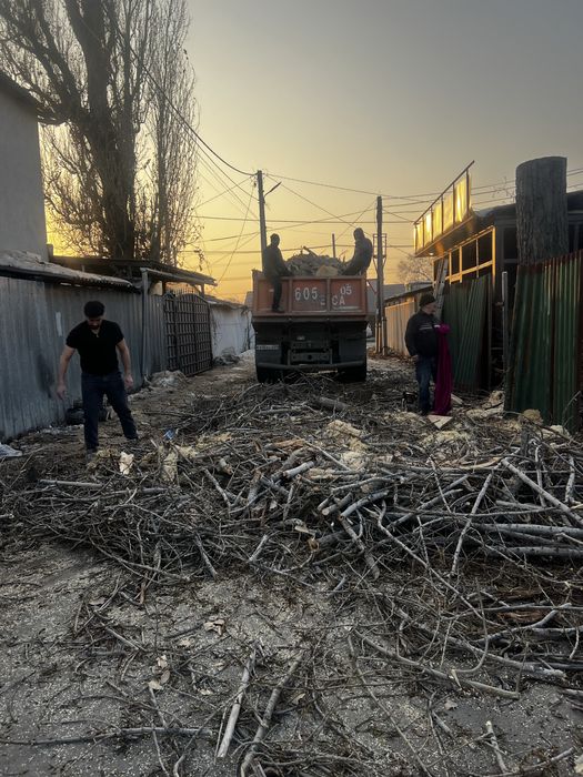 15.000 тенге. Спил деревьев,аварийных деревьев