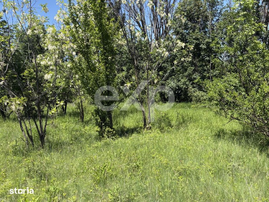 Teren 2.200 mp langa padure, la 11 km de Pitesti – ideal pentru casa
