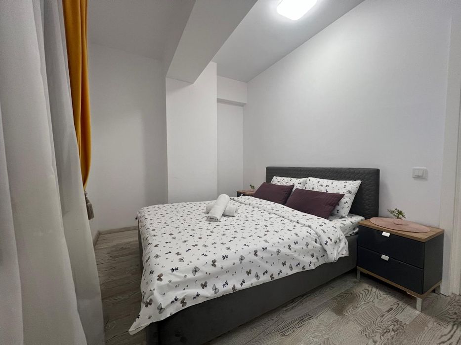 Apartament Regim Hotelier Iasi Non Stop