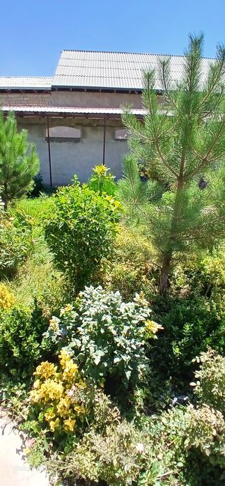 Namunali uy Bo'z-su da