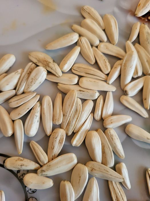 Отборные семечки