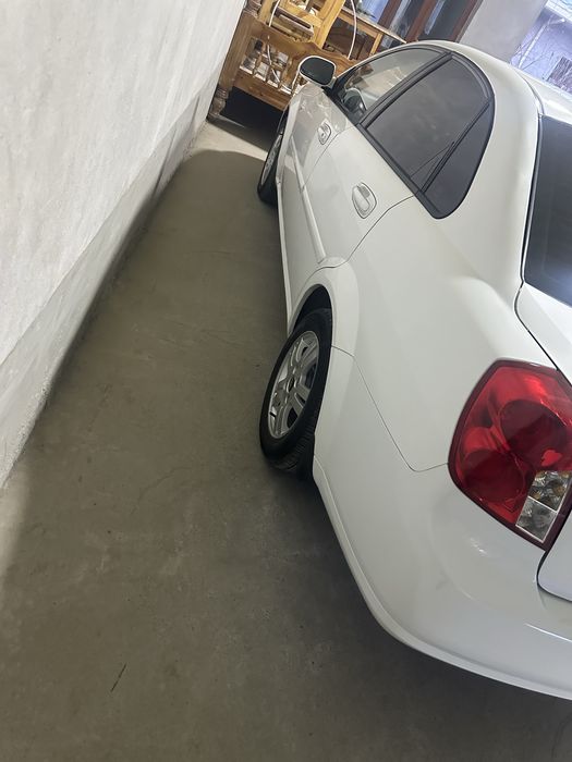 Lasseti sotiladi tayor tozza