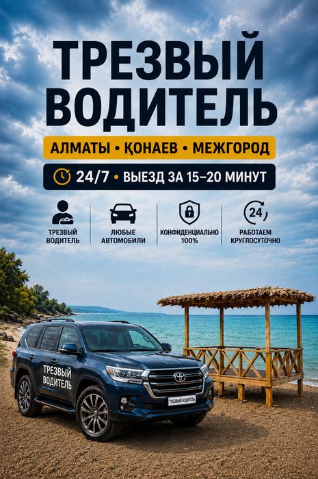 Трезвый Водитель