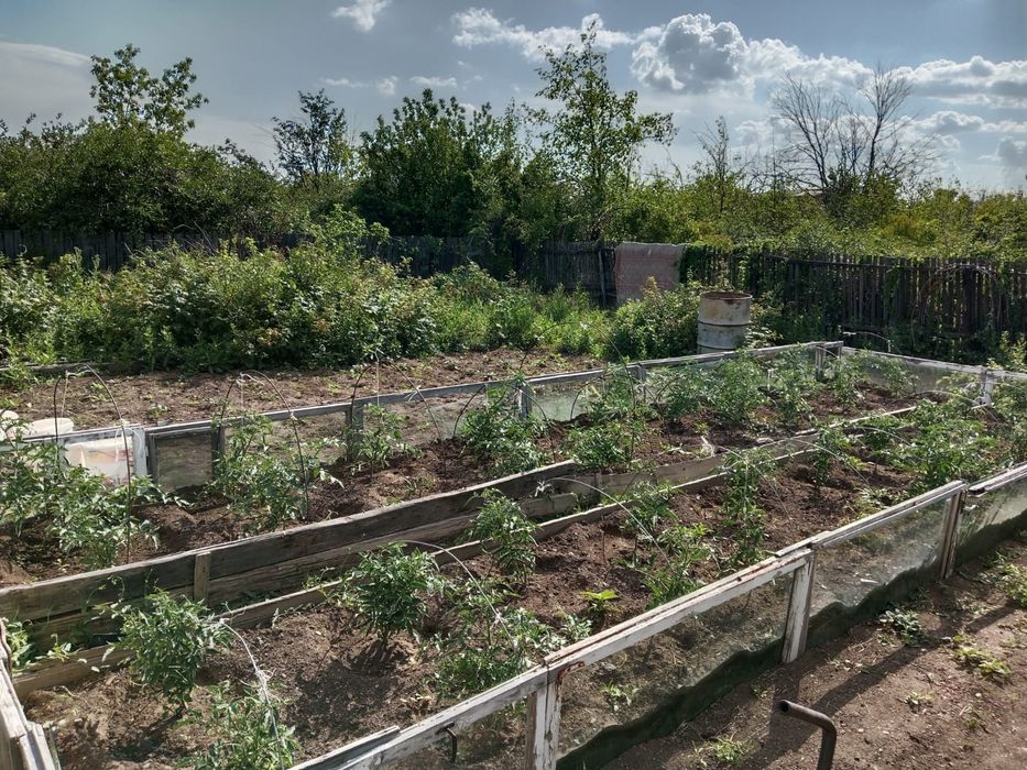 Продам дачу с домиком