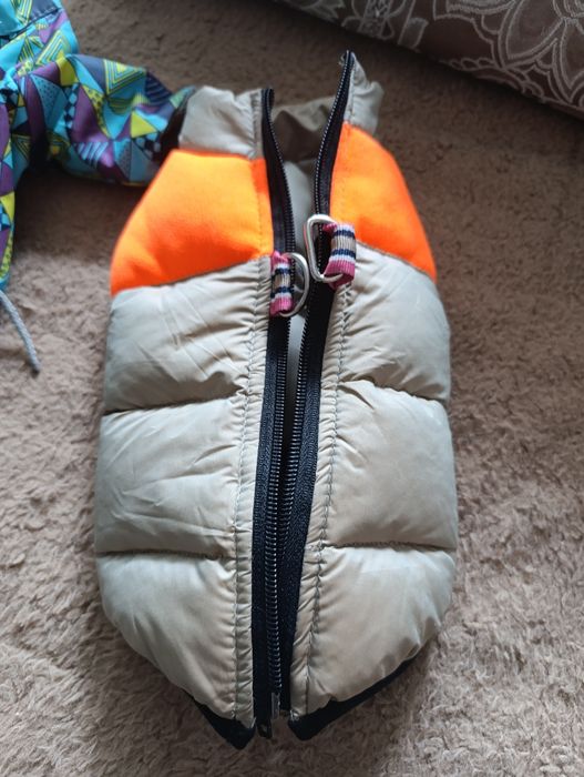 Вещи для маленьких парод собак