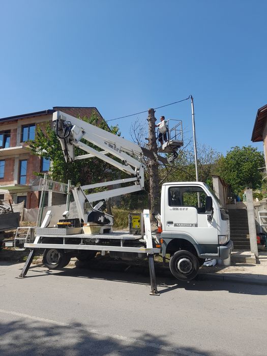 Рязане и кастрене на опасни дървета