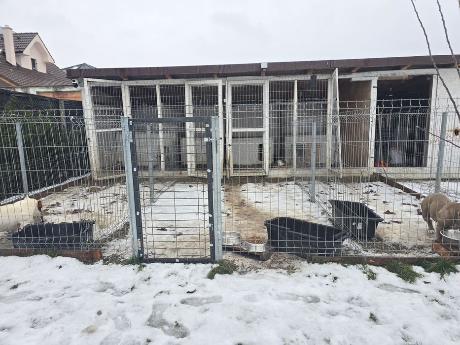 Vand padoc animale 9x3