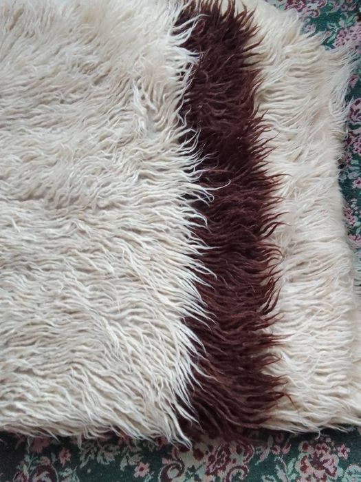 Голям родопски китеник вълнен