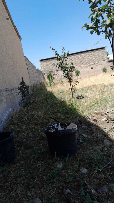 8 sotix bo'sh yer sotiladi. Samarqand v. Paxtabod MFY