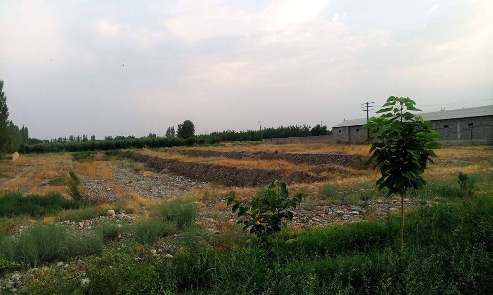 Иссикхона сотилади