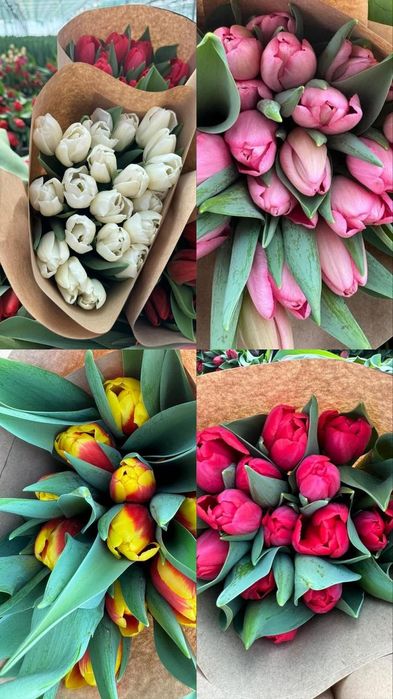 Тюльпано оптом на 8 марта по 450тг