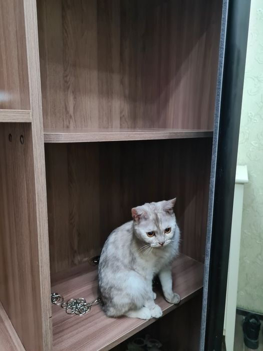 Продам угловой шкаф купе