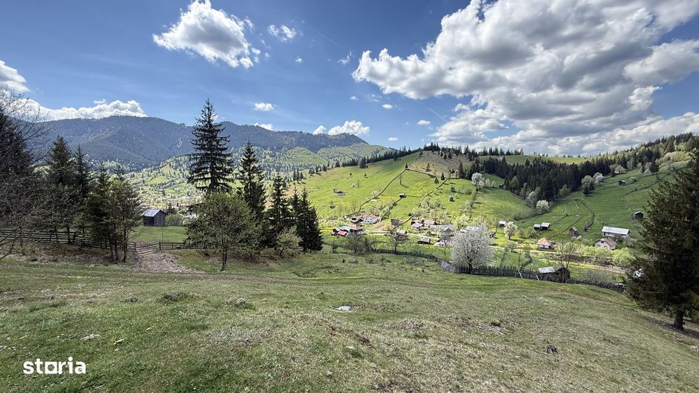Teren 1.29 ha + 1 ha pădure, acces ușor