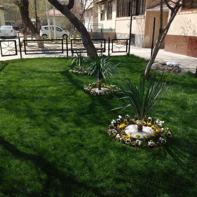 Gazon ekish hizmati landshavt palivnoy sistema